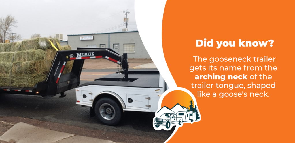 did you know what is a fifth wheel to a gooseneck adapter
